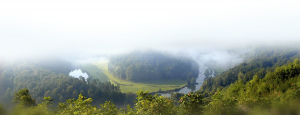 Ardennes région paliseul