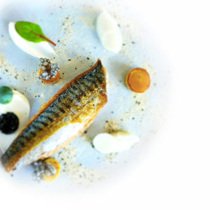 saveur-hiver-poisson